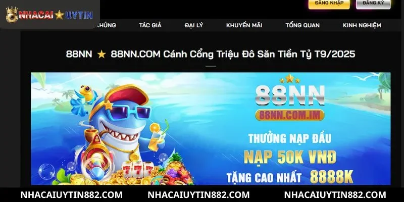 88NN