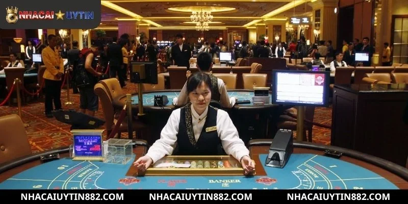 Hành trình phát triển ấn tượng của nhà cái qua từng năm