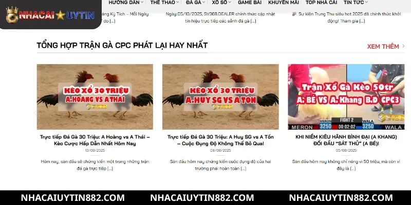 Lý do trang đá gà SV368 được ưa chuộng hiện nay