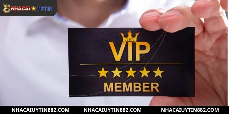 Quyền lợi độc quyền dành cho hội viên VIP Nhà cái uy tín