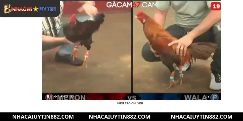 Thông tin sơ lược về quá trình phát triển Gacam67