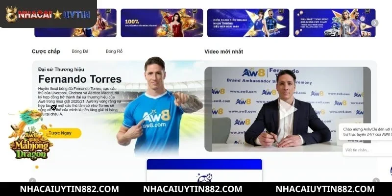 Tổng quan nền tảng giải trí trực tuyến hiện đại