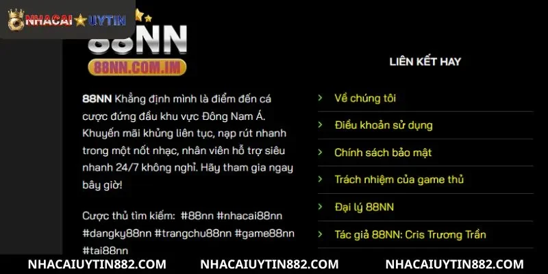 Vài trò chơi nổi bật cho người yêu thích game bài tại 88NN